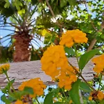 Casa Di Campagna بيت للعطل *