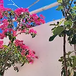 بيت للعطل Casa Di Campagna أوستوني