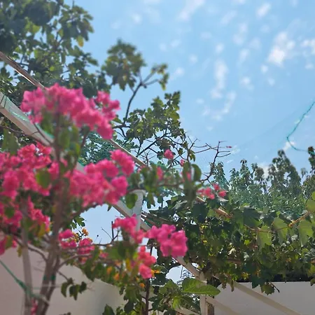 Сasa de vacaciones Casa Di Campagna *