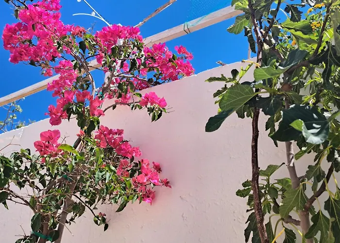 Holiday home Casa Di Campagna Ostuni