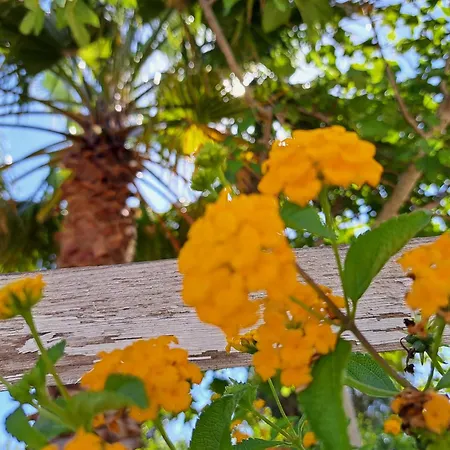 Casa Di Campagna 펜션 *