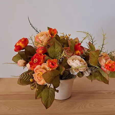 度假居 Casa Di Campagna *