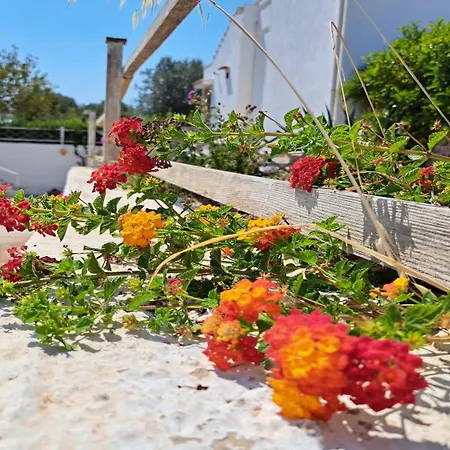 Casa Di Campagna 펜션 *