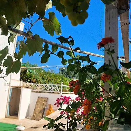 Casa Di Campagna 오스투니