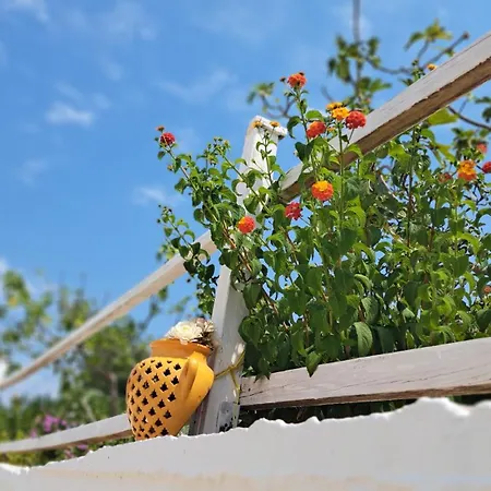 Casa Di Campagna 오스투니