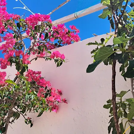 펜션 Casa Di Campagna 오스투니