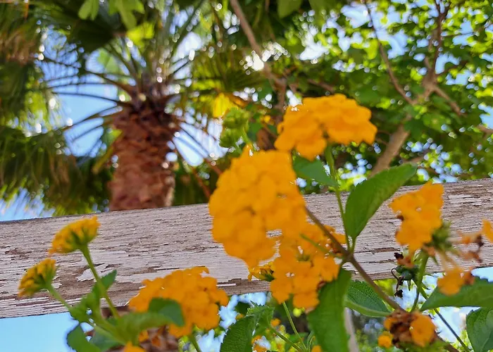 Casa Di Campagna بيت للعطل *