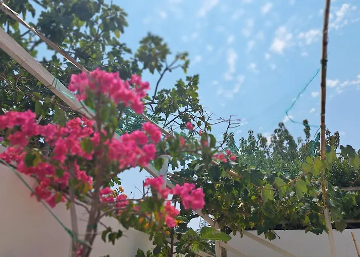 Hébergement de vacances Casa Di Campagna *